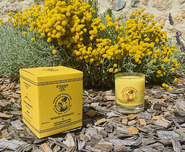 Soothing Candle - Rose and Honey - The Crowd Went Wild