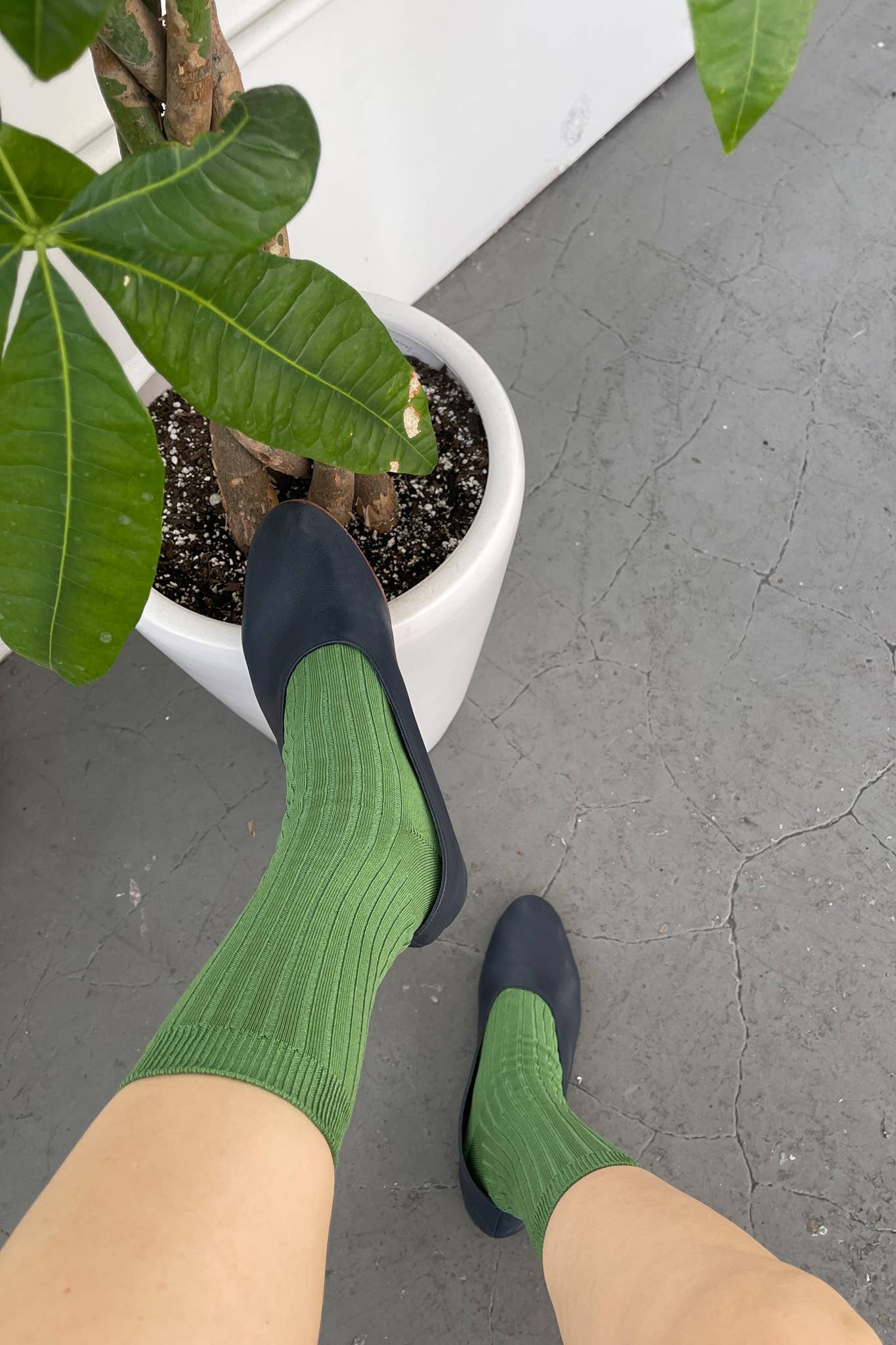 Her Socks - Mercerized Combed Cotton Rib: Fuchsia