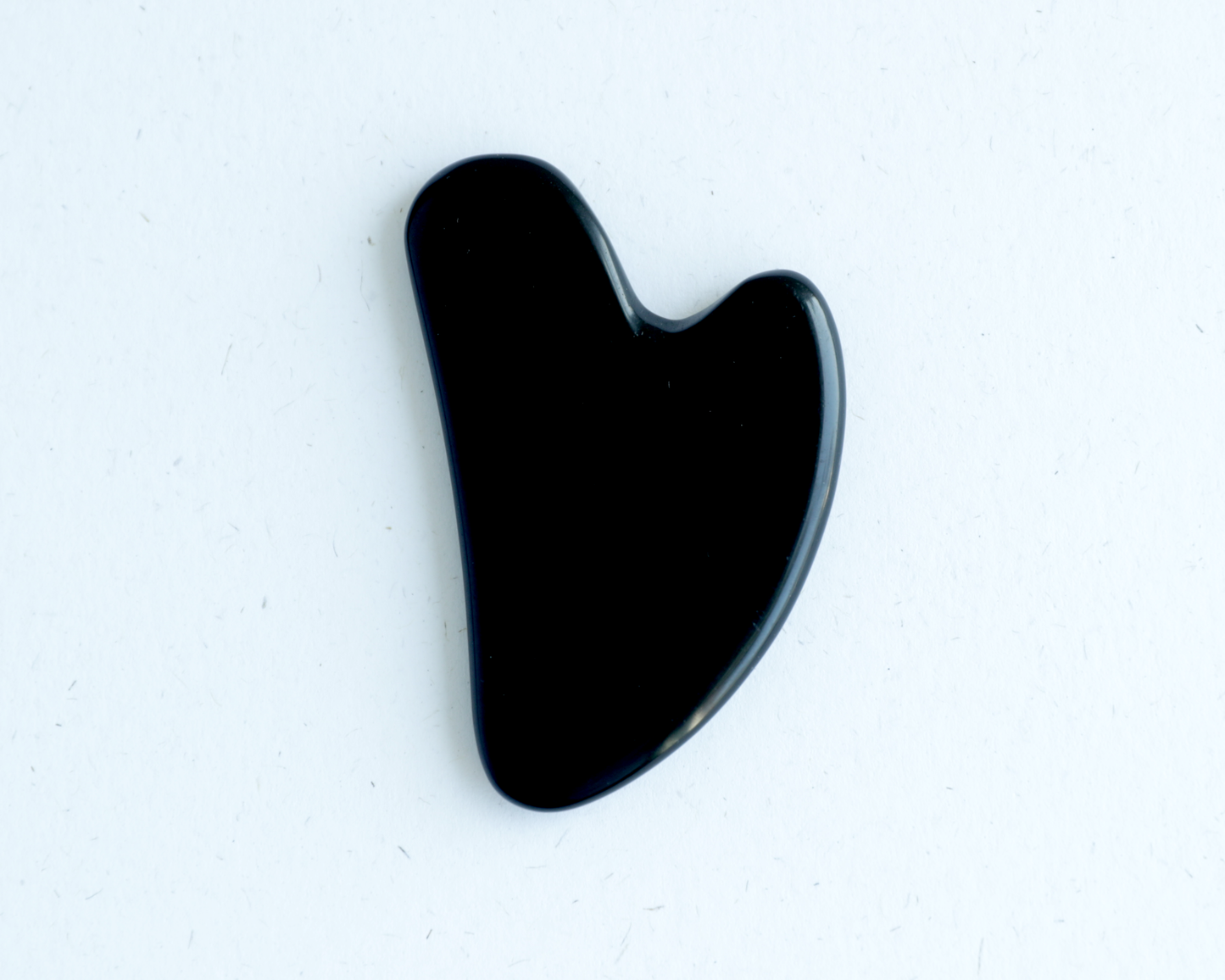 Obsidian Gua Sha Tool - The Crowd Went Wild