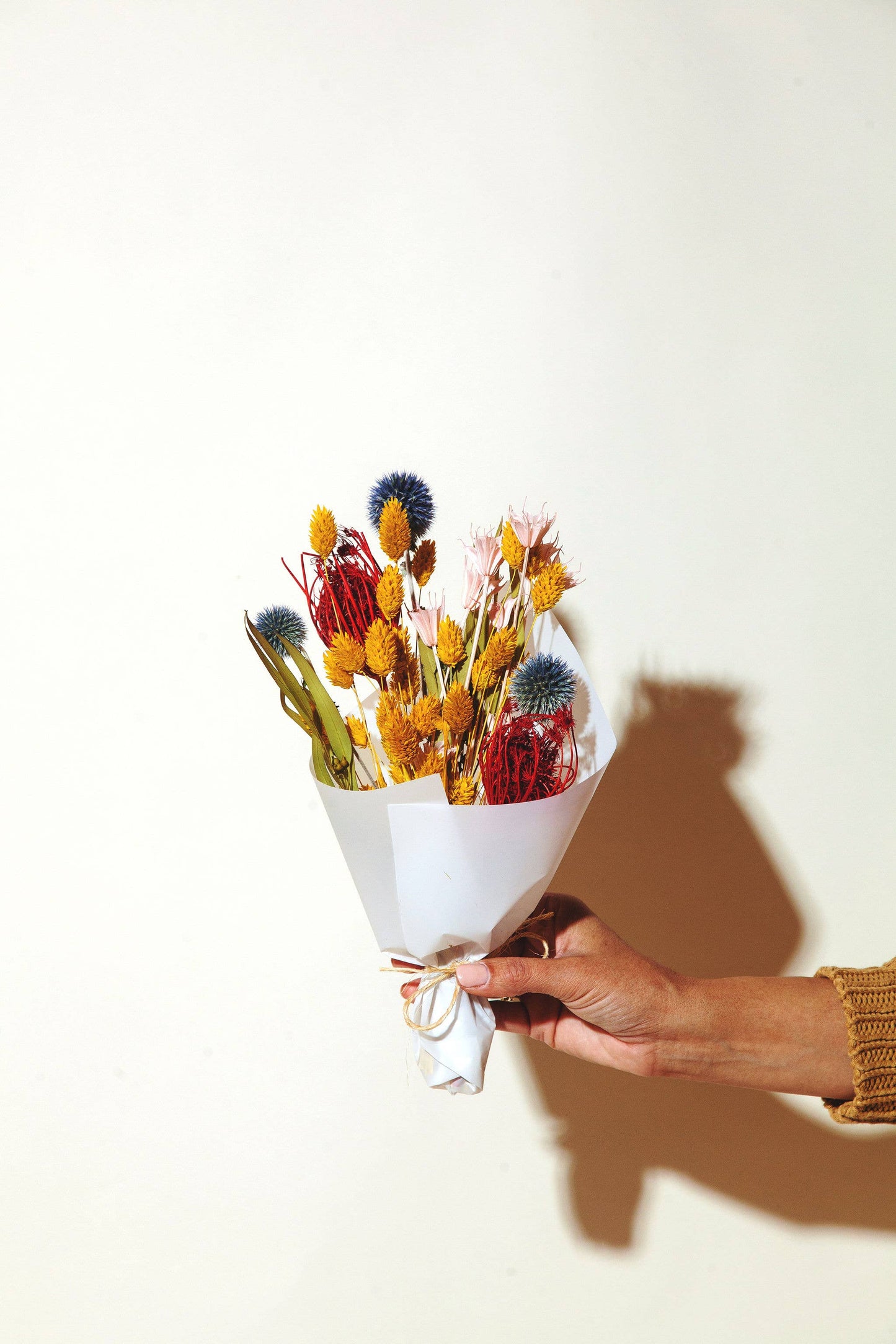 Rainbow Mini Dried Bouquet - The Crowd Went Wild