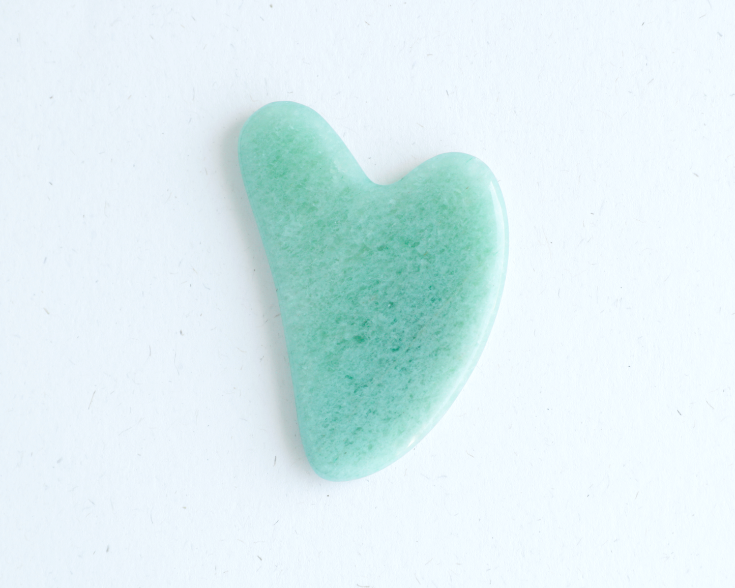 Gua Sha Tool - The Crowd Went Wild