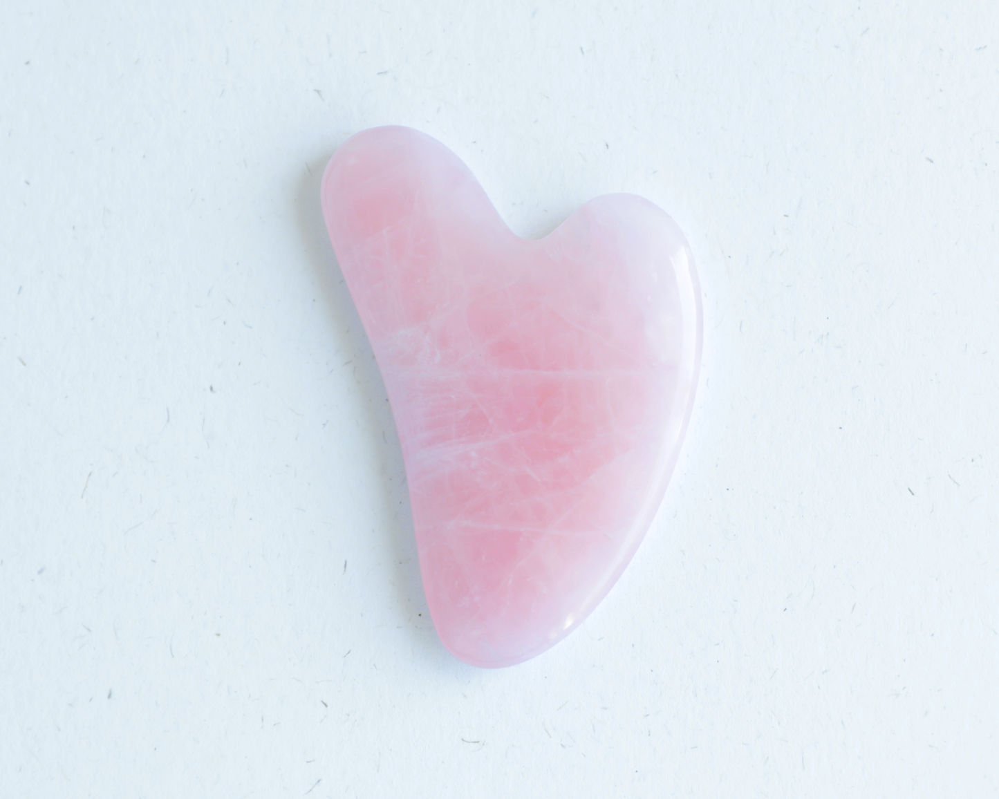 Gua Sha Tool - The Crowd Went Wild