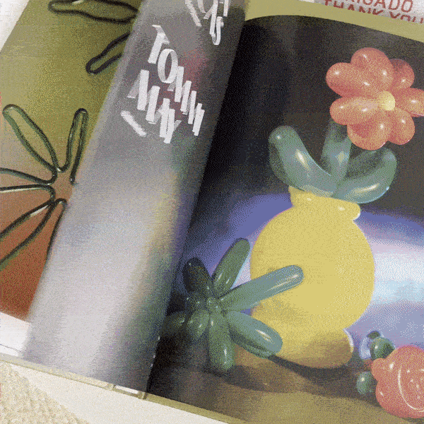 A Weed is a Flower Book