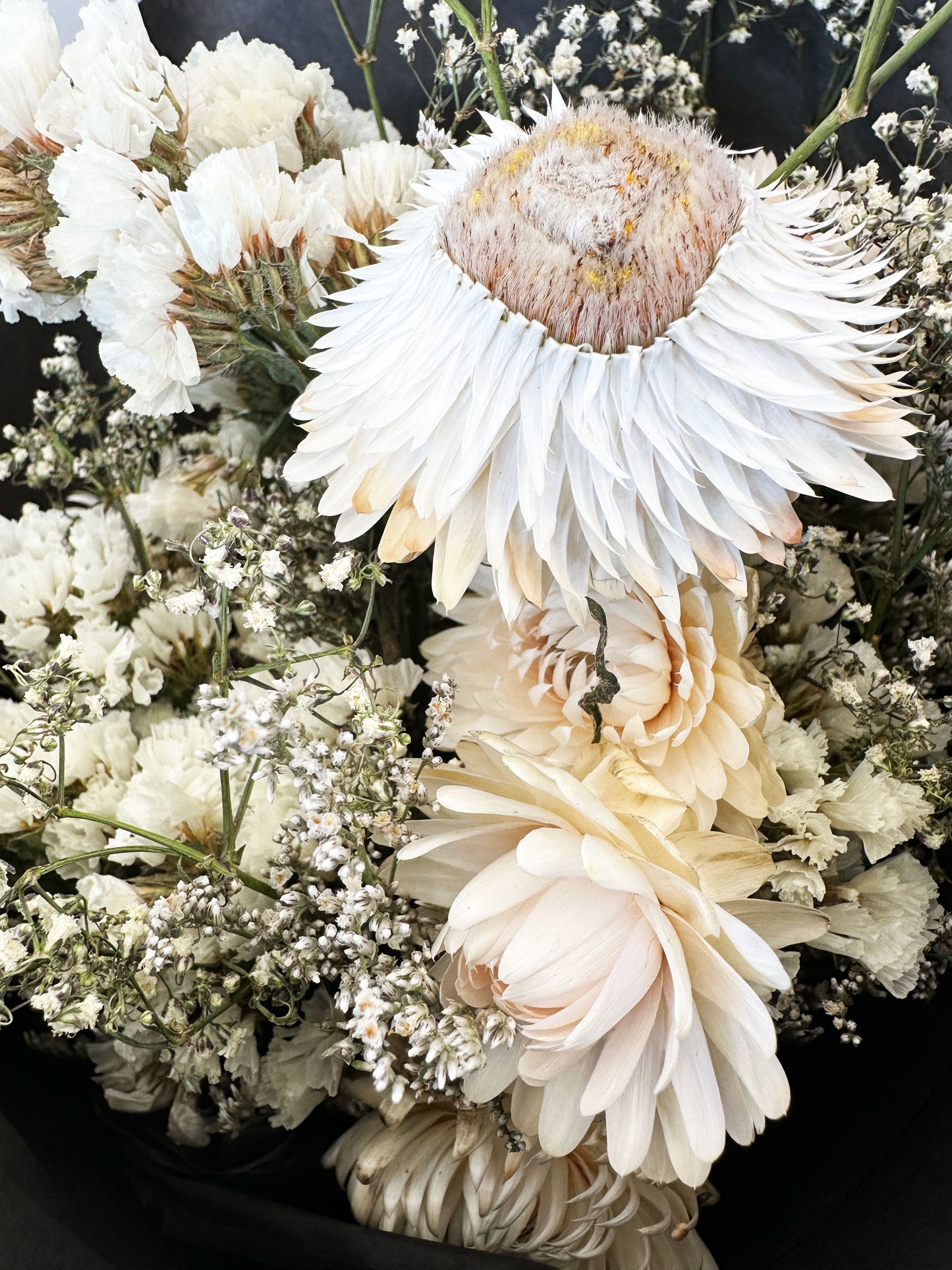 Dried Flower Bunch - White Mix - The Crowd Went Wild