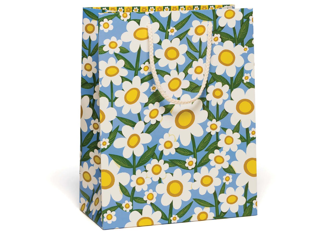 Seventies Daisy gift bag - The Crowd Went Wild
