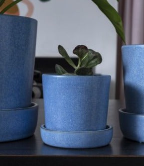 Blue Ceramic Planter & Saucer - The Crowd Went Wild