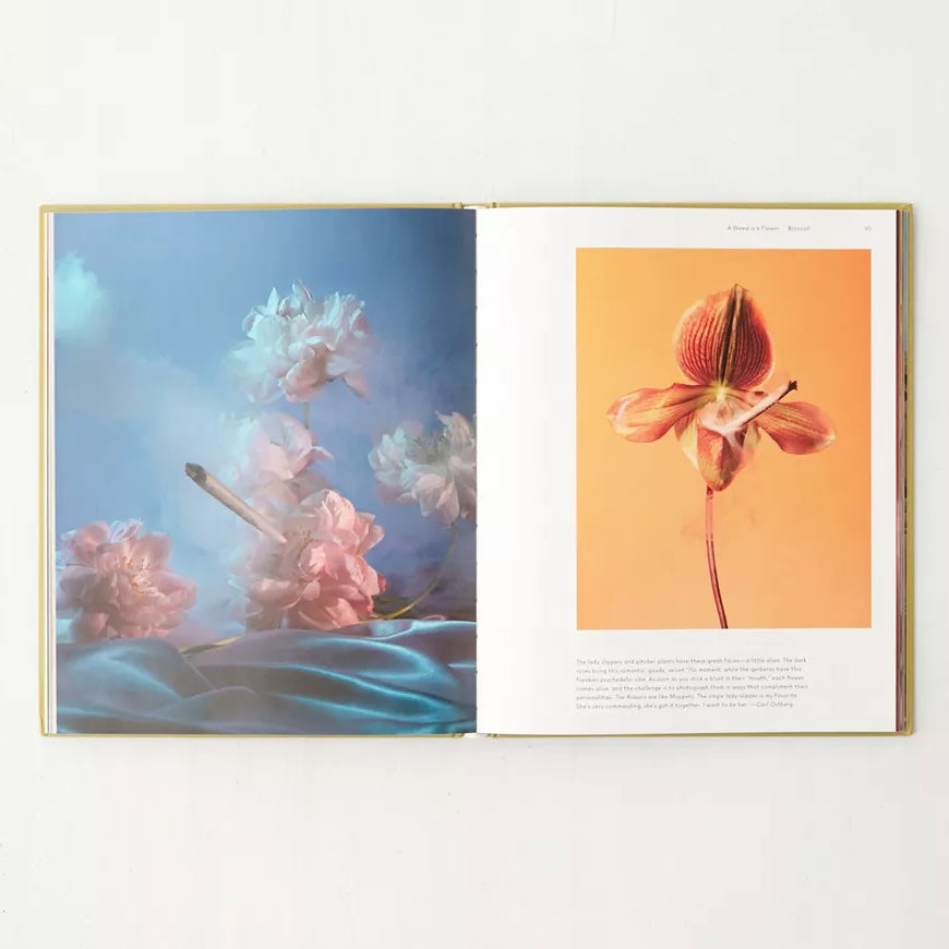 A Weed is a Flower Book