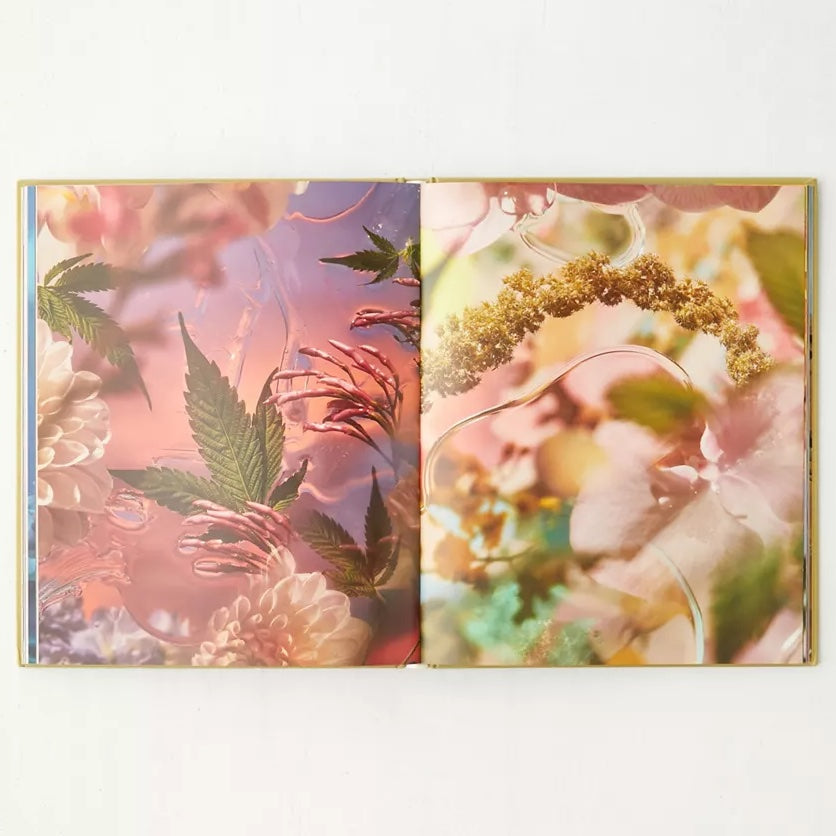 A Weed is a Flower Book