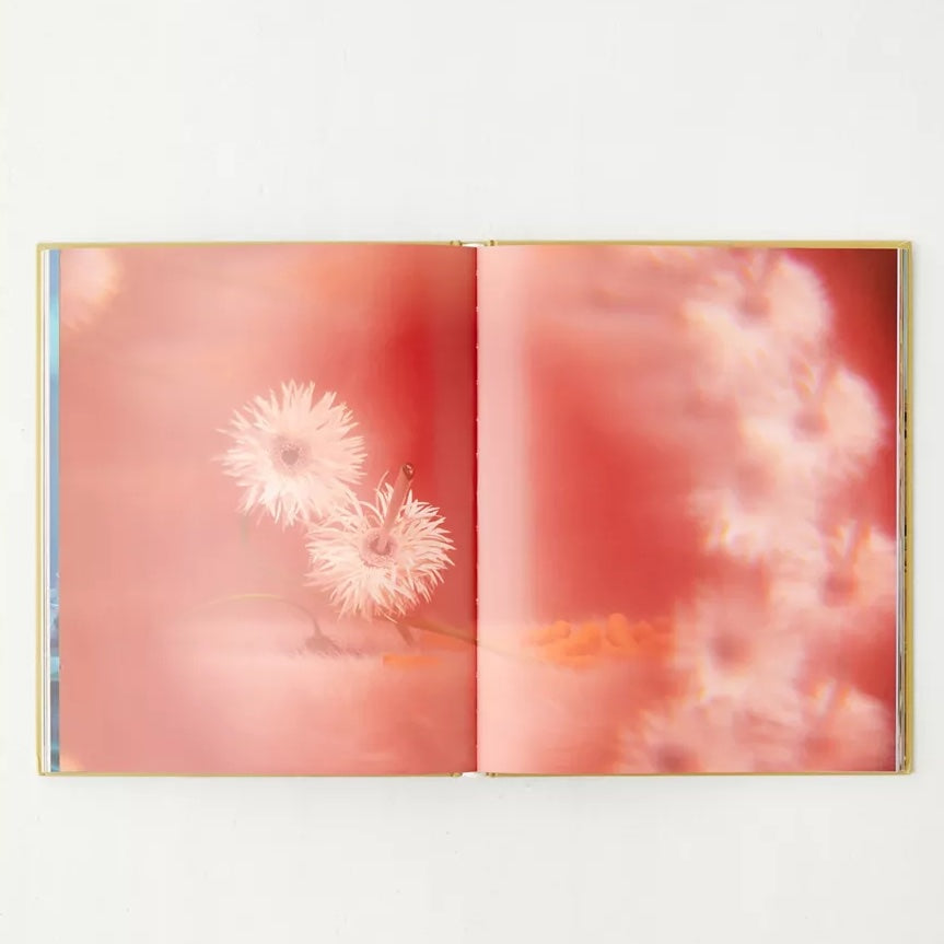 A Weed is a Flower Book