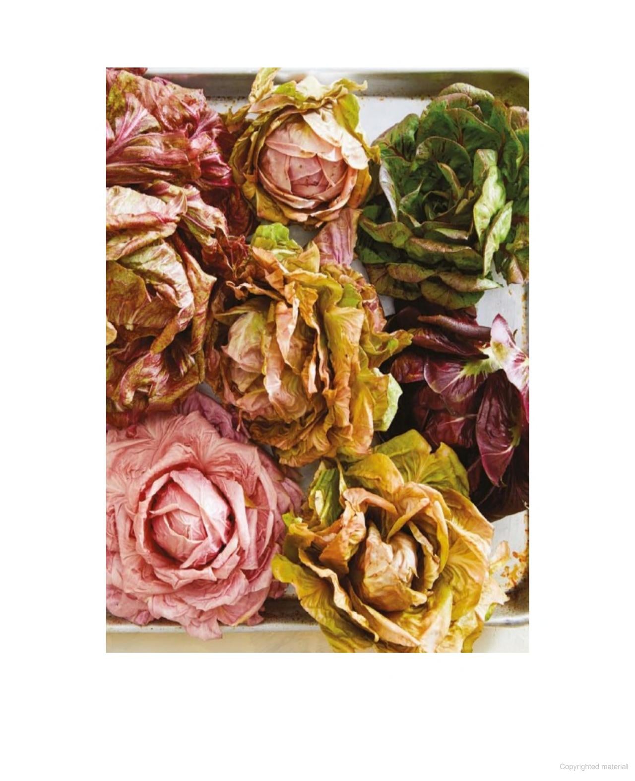 Salad Freak: Recipes to Feed a Healthy Obsession - The Crowd Went Wild