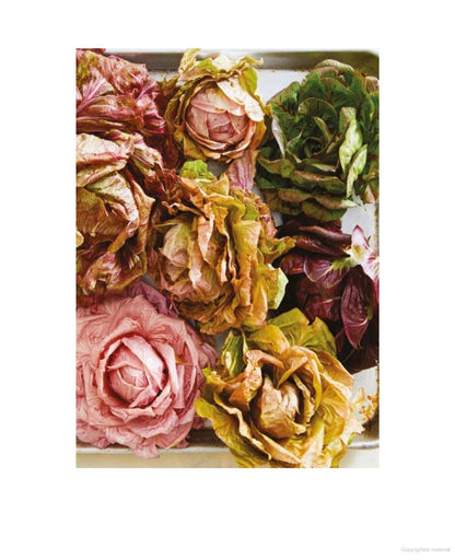 Salad Freak: Recipes to Feed a Healthy Obsession - The Crowd Went Wild