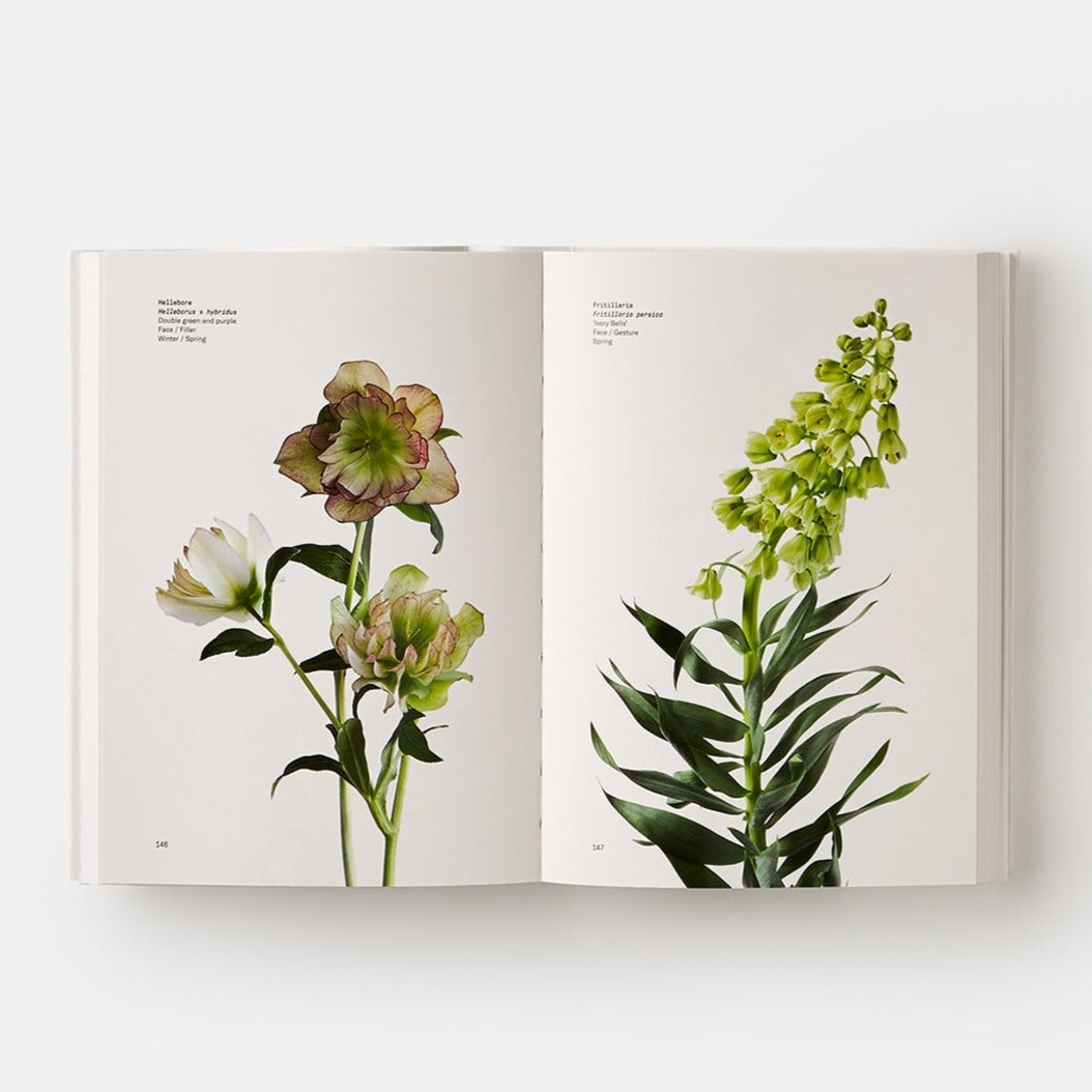 Flower Color Guide - The Crowd Went Wild