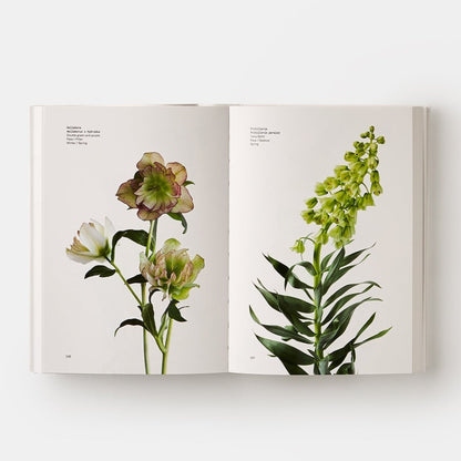 Flower Color Guide - The Crowd Went Wild