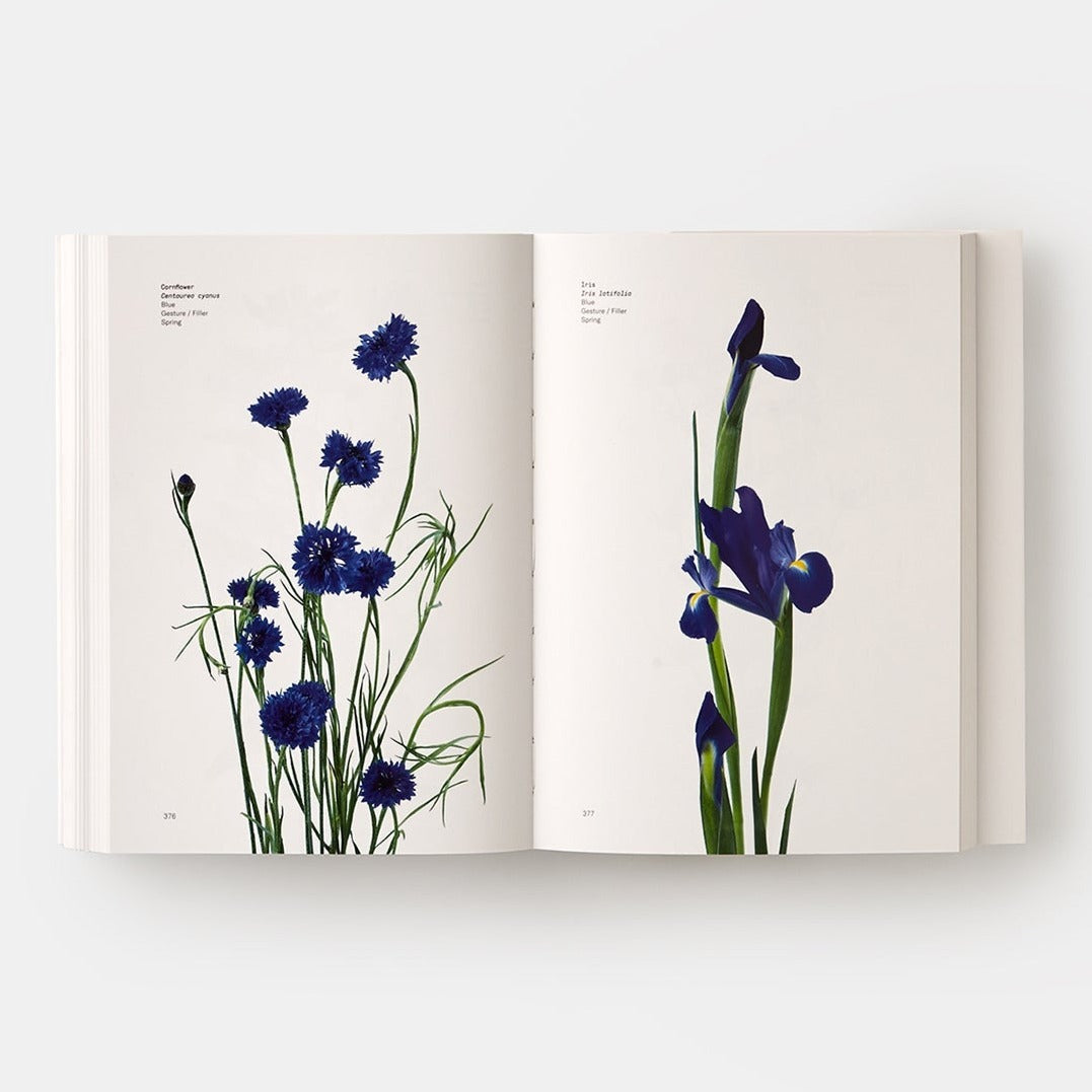Flower Color Guide - The Crowd Went Wild